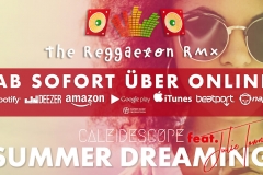 Störer-Summer-Dreaming-Reggaeton-Youtube-Cover-VÖ 1024